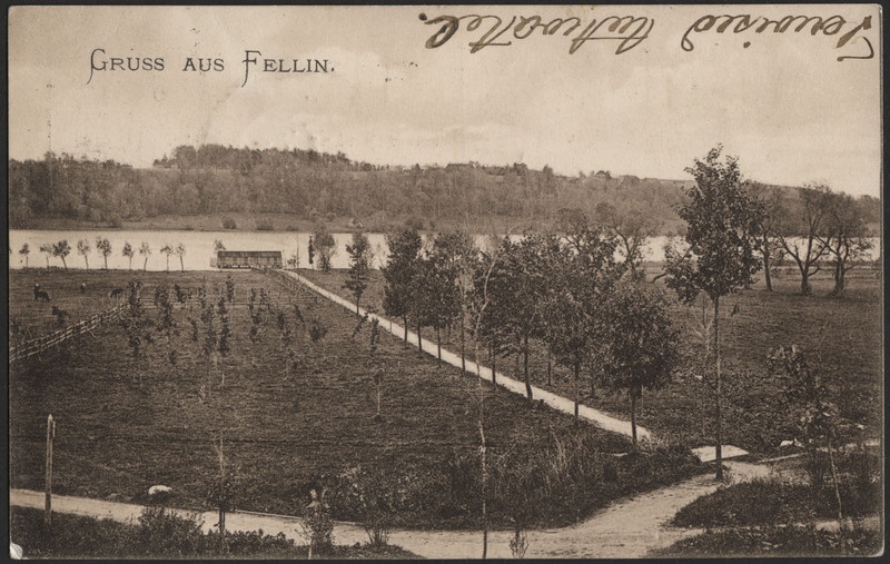 trükipostkaart, Viljandi, järv, supelusemaja, heinamaa, puiestee, u 1905
