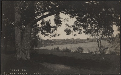 fotopostkaart, Viljandi, järv, heinamaa, elamud mäeveerul, u 1915, foto J. Riet  duplicate photo