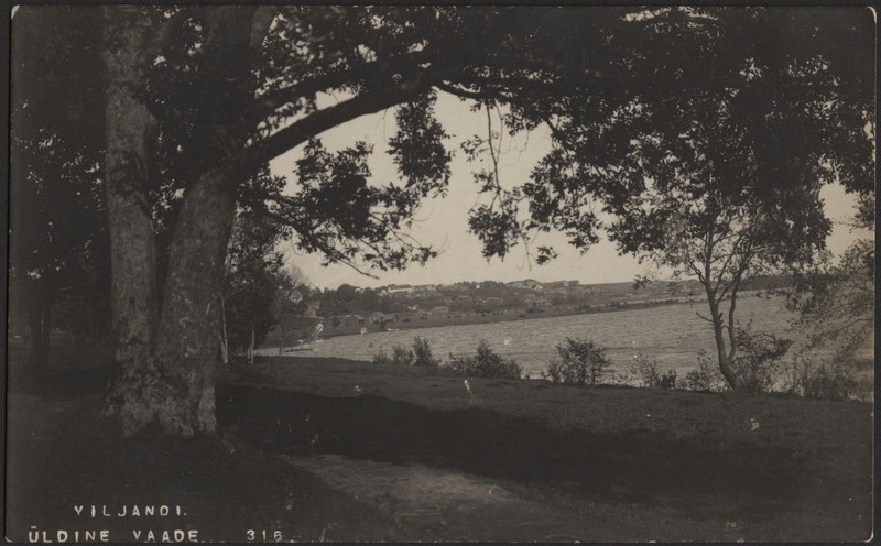 fotopostkaart, Viljandi, järv, heinamaa, elamud mäeveerul, u 1915, foto J. Riet