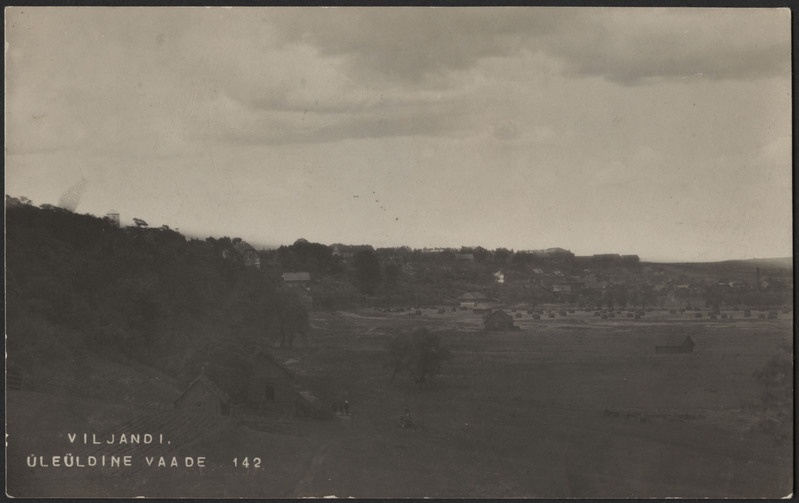 fotopostkaart, Viljandi, järvevahi maja, järveäärne heinamaa, elamud mäeveerul, Männimäe poolt, u 1915, foto J. Riet
