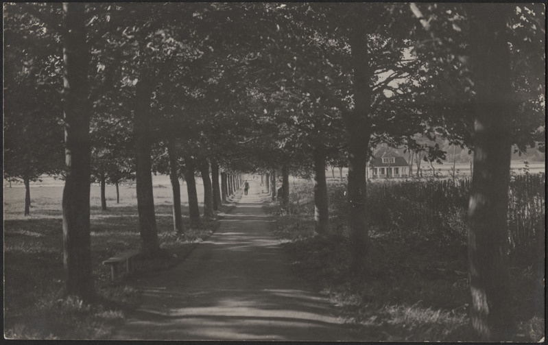 fotopostkaart, Viljandi, Vesiflirdi pst, spordiklubi, järv, u 1925