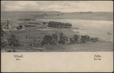 trükipostkaart, Viljandi, järveäärne piirkond, Mädalepik, auruveski, Vesiflirdi pst, järv, Viiratsi mägi, u 1905  duplicate photo