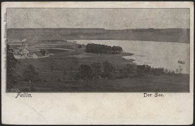 trükipostkaart, Viljandi, järveäärne piirkond, Mädalepik, auruveski, Vesiflirdi pst, järv, Viiratsi mägi, u 1905, Verlag von Tõllasepp (Fellin)  duplicate photo