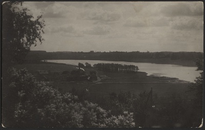 fotopostkaart, Viljandi, järveäärne heinamaa, auruveski, Mädalepik, järv, vastaskallas, u 1915  duplicate photo