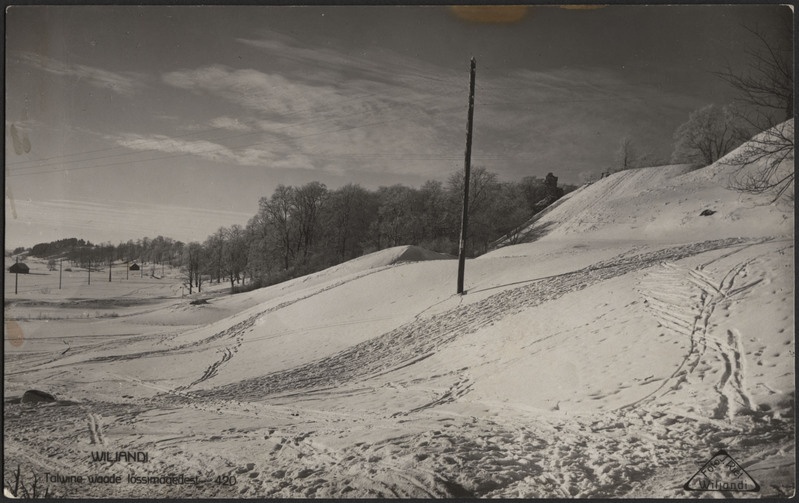 fotopostkaart, Viljandi, järveäärne heinamaa, lossimägede järvepoolne nõlv, talv, u 1925, foto J. Riet
