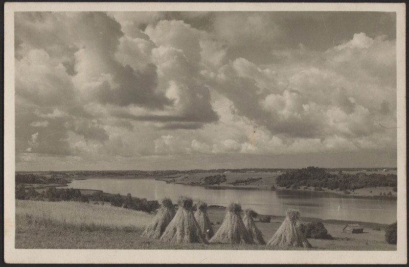 fotopostkaart, Viljandi, vastaskallas, viljahakid, järve Orika-poolne osa, linnapoolne kallas, u 1935, foto A. Kivilo (Viljandi)