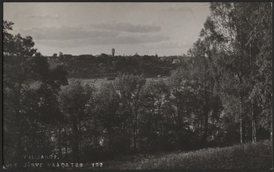 fotopostkaart, Viljandi, vastaskallas, puud, järveäärne heinamaa, puud mäeveerul, hooned, u 1915, foto J. Riet  duplicate photo
