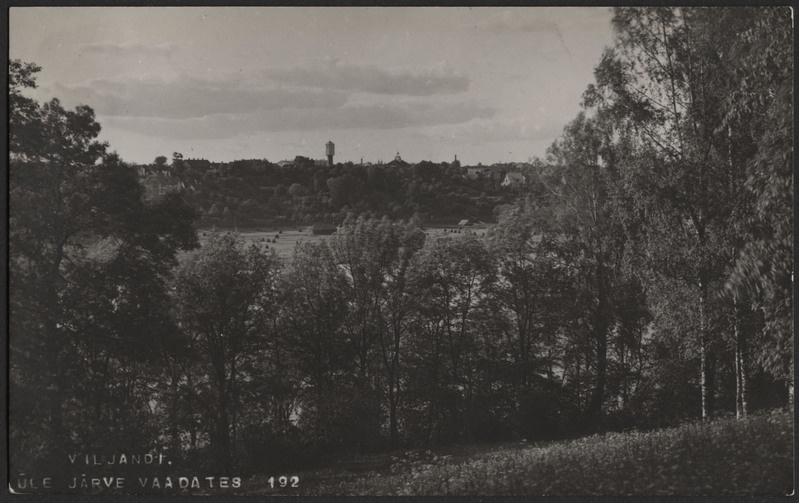 fotopostkaart, Viljandi, vastaskallas, puud, järveäärne heinamaa, puud mäeveerul, hooned, u 1915, foto J. Riet