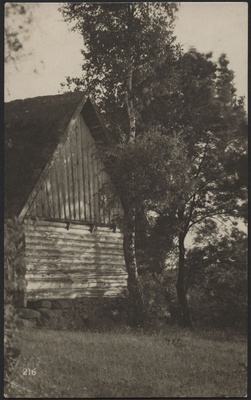 fotopostkaart, Viljandi, järve vastaskallas, küün'i otsasein, puud, u 1915, foto J. Riet  duplicate photo