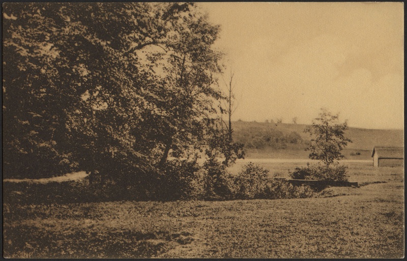 trükipostkaart, Viljandi, järveäärne heinamaa, küün, järv, vastaskallas, u 1915