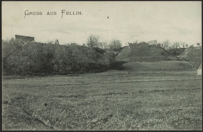 trükipostkaart, Viljandi, järveäärne heinamaa, lossimäed, u 1905  duplicate photo