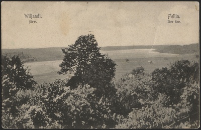 trükipostkaart, Viljandi, järv, mõlemad kaldad, Pikk tn poolt, u 1910  duplicate photo