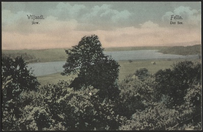 trükipostkaart, Viljandi, järv, mõlemad kaldad, Pikk tn poolt, koloreeritud, u 1910  duplicate photo