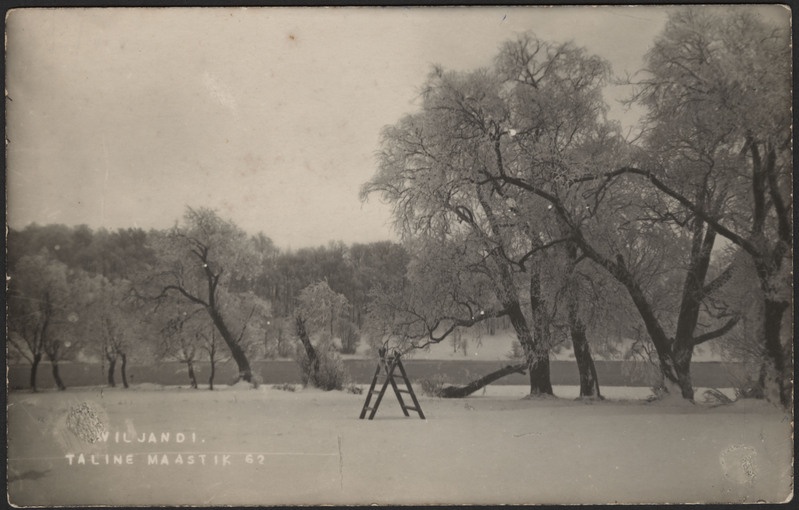 fotopostkaart, Viljandi, järveäärne heinamaa, järv, vastaskallas, talv, u 1915, foto J. Riet