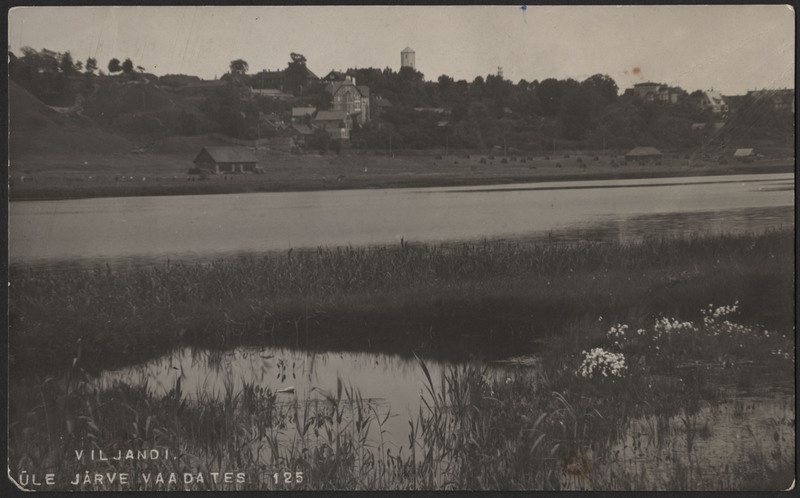 fotopostkaart, Viljandi, roostik, järv, heinamaa, linna majad mäeveerul, u 1915, foto J. Riet