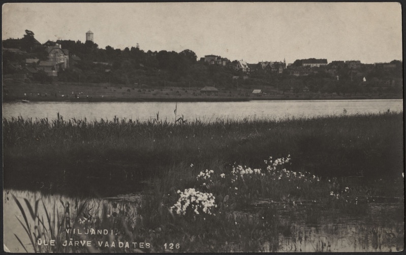 fotopostkaart, Viljandi, roostik, järv, heinamaa, linna majad mäeveerul, u 1915, foto J. Riet