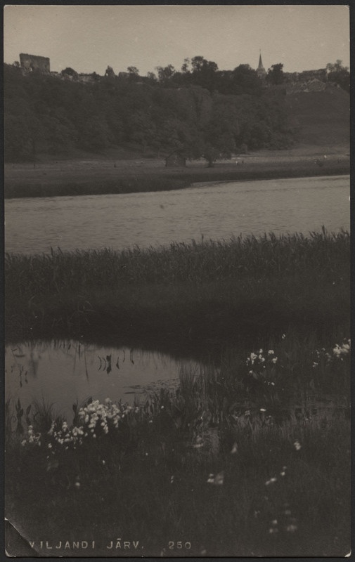 fotopostkaart, Viljandi, roostik, järv, heinamaa, lossimäed, u 1915, foto J. Riet