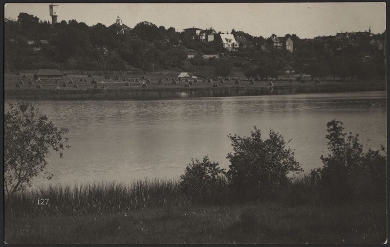fotopostkaart, Viljandi, vastaskallas, järv, heinamaa, linna majad mäeveerul, u 1915, foto J. Riet