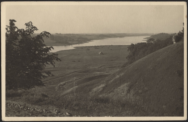 fotopostkaart, Viljandi, järveäärne heinamaa, järv, vastaskallas, u 1920, foto P. Parikas (Tallinn)