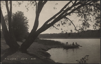fotopostkaart, Viljandi, järve vastaskallas, 3-haruline puu, paat, heinamaa, puud ja põõsad mäeveerul, u 1925, foto J. Riet  duplicate photo