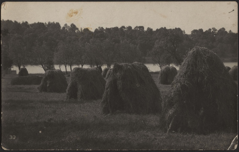 fotopostkaart, Viljandi, järveäärne heinamaa, rõugud, järv, vastaskallas, u 1915, foto J. Riet