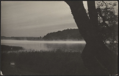 fotopostkaart, Viljandi, roostik, puu, järv, vastaskallas, u 1915, foto J. Riet  duplicate photo