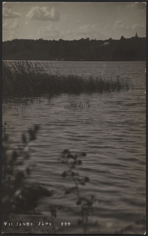 fotopostkaart, Viljandi, järv, roostik, mäeveerul puud, hooned, u 1915, foto J. Riet
