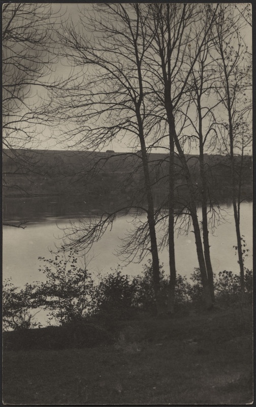 fotopostkaart, Viljandi, järve kallas Huntaugu all, vastaskallas, u 1915
