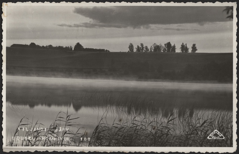 fotopostkaart, Viljandi, järv, vastaskallas Orika pool, u 1925, foto J. Riet