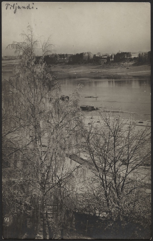 fotopostkaart, Viljandi, härmas puud, järveäärne heinamaa, järv, suplusmaja (supelusmaja) 2 tk, vastaskallas, talv, u 1910, foto J. Riet