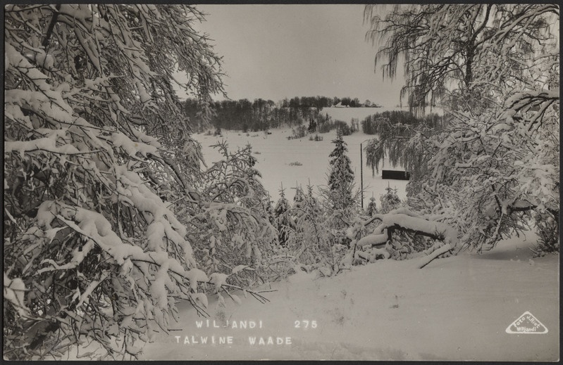 fotopostkaart, Viljandi, järv, ümbrus, talv, u 1920, foto J. Riet
