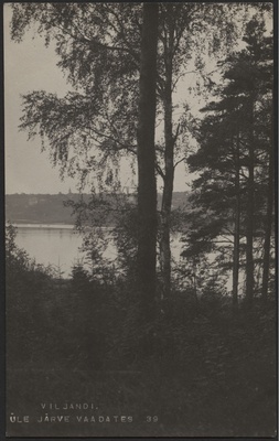 fotopostkaart, Viljandi, järve vastaskallas, puud, järv, linna majad mäeveerul, u 1910, foto J. Riet  duplicate photo