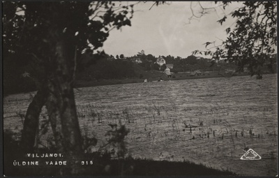 fotopostkaart, Viljandi, järve vastaskallas, järv, linna majad mäeveerul, u 1925 foto J.Riet  duplicate photo