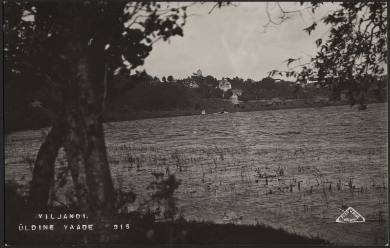 fotopostkaart, Viljandi, järve vastaskallas, järv, linna majad mäeveerul, u 1925 foto J.Riet