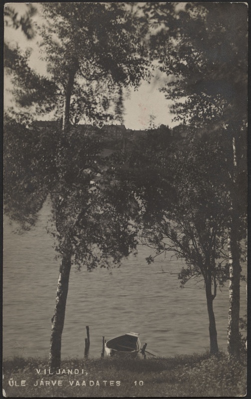 fotopostkaart, Viljandi, järve vastaskallas, paat, järv, linna majad mäeveerul, u 1910, foto J. Riet