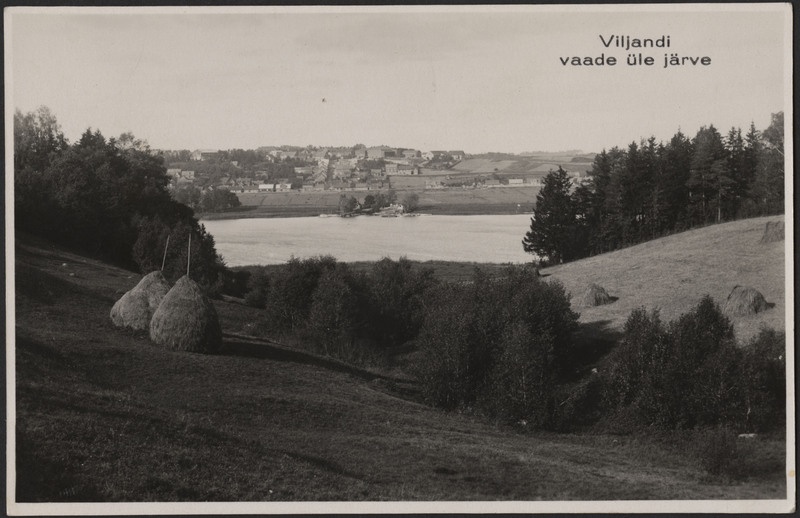 fotopostkaart, Viljandi, vastaskallas, org, heinamaa, puud, järv, Kõrgemäe tn ümbrus, u 1915