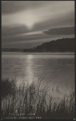 fotopostkaart, Viljandi, roostik, järv, vastaskallas, u 1920, foto J. Riet  duplicate photo