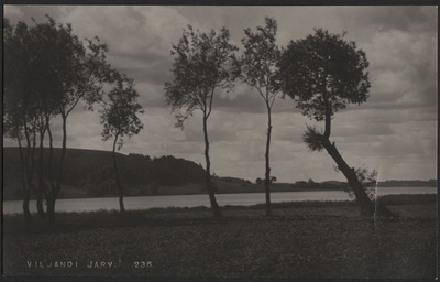 fotopostkaart, Viljandi, järv, kalda-alad Orika pool, u 1920, foto J. Riet  duplicate photo