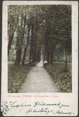 trükipostkaart, Viljandi, Filosoofia (Mõttetarga) puiestee, koloreeritud, u 1900, Verlag von A. Tõllasepp (valmis 1882)  duplicate photo