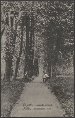 trükipostkaart, Viljandi, Filosoofia (Mõttetarga) puiestee, u 1900, valmis 1882  duplicate photo