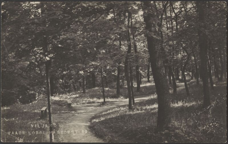 fotopostkaart, Viljandi, lossipark, Kitsasmägi, puud, teerada, pingid, u 1915