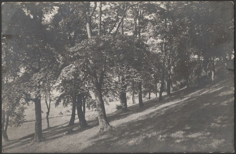 fotopostkaart, Viljandi, Kaevumäe nõlv, alumine osa?, järveäärne heinamaa, u 1915, foto J. Riet