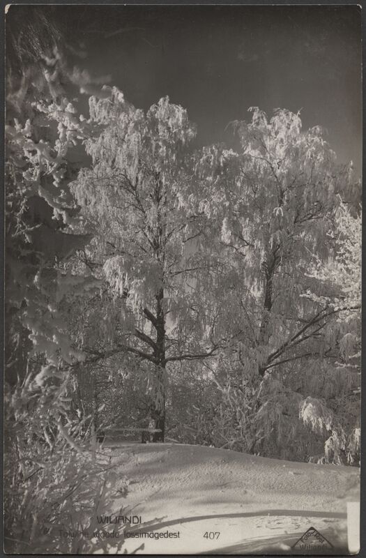 fotopostkaart, Viljandi, I Kirsimägi ?, talv, u 1925, foto J. Riet