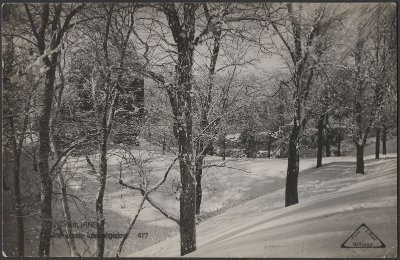 fotopostkaart, Viljandi, Maramaa vall II Kirsimäe poolt, lossi värav, talv, u 1925, foto J. Riet