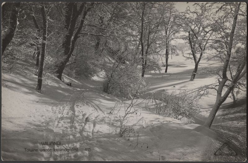 fotopostkaart, Viljandi, Valuoja org, järv, talv, u 1925, foto J. Riet