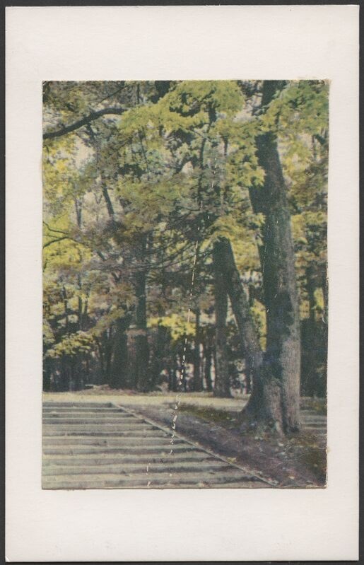 trükipostkaart, Viljandi, Lossipark, lauluväljaku trepid, värviline, u 1962, foto A. Kiisla