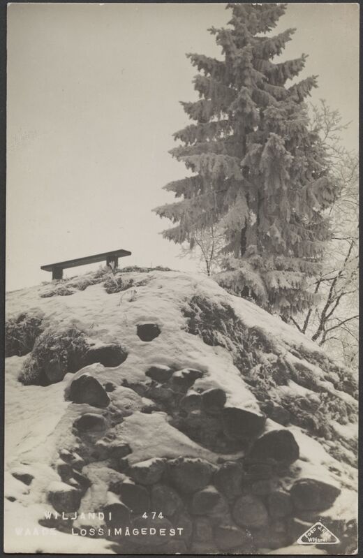 fotopostkaart, Viljandi, II Kirsimägi, pink, kuusk, müür, talv, u 1925, foto J. Riet