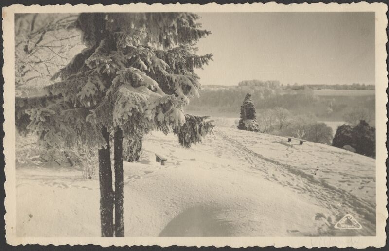 fotopostkaart, Viljandi, Kirsimägi, järvepoolne osa, järv, vastaskallas, talv, u 1925, foto J. Riet