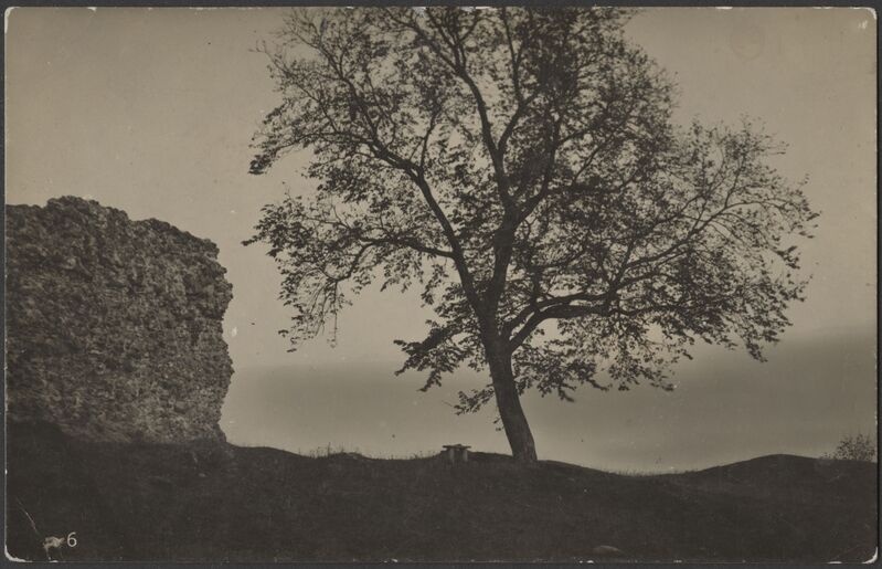 fotopostkaart, Viljandi, II Kirsimägi, järvepoolne osa, müür, puu, u 1912, foto J. Riet