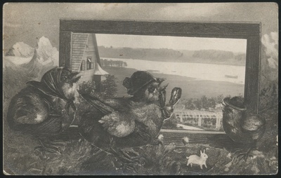 fotopostkaart, kevadpühade kaart, Viljandi, tibud, Trepimägi, järv, u 1923, kirjastaja H. Leoke (Wiljandi)  duplicate photo